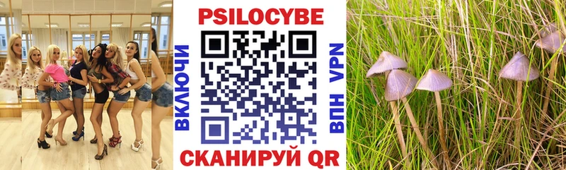 mega зеркало  где купить наркотик  Петров Вал  Псилоцибиновые грибы ЛСД 